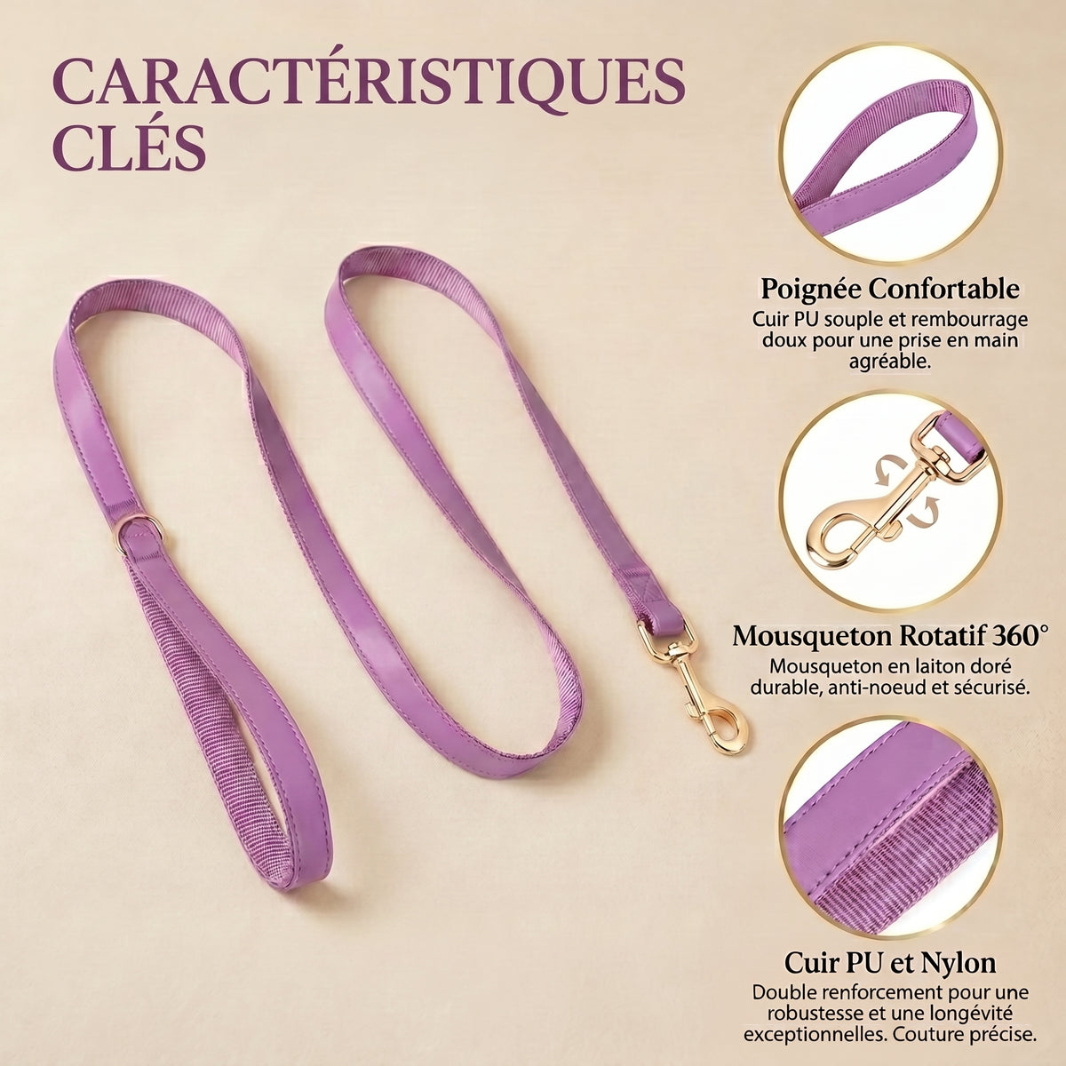 Ensemble Collier Laisse et Sacs à Crottes Personnalisé pour Chien – Cuir PU Coloré, Plaque Gravée