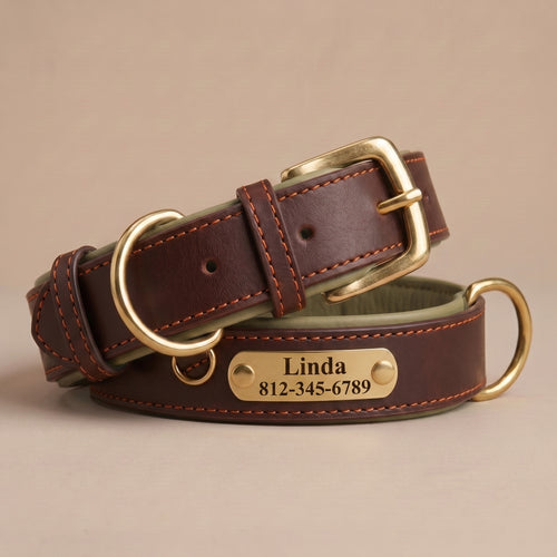 Collier Chien en Cuir Personnalisé avec Plaque Gravée – Rembourré et Confortable, Ajustable Toutes Tailles