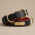 Collier Chien en Cuir Personnalisé avec Plaque Gravée – Rembourré et Confortable, Ajustable Toutes Tailles
