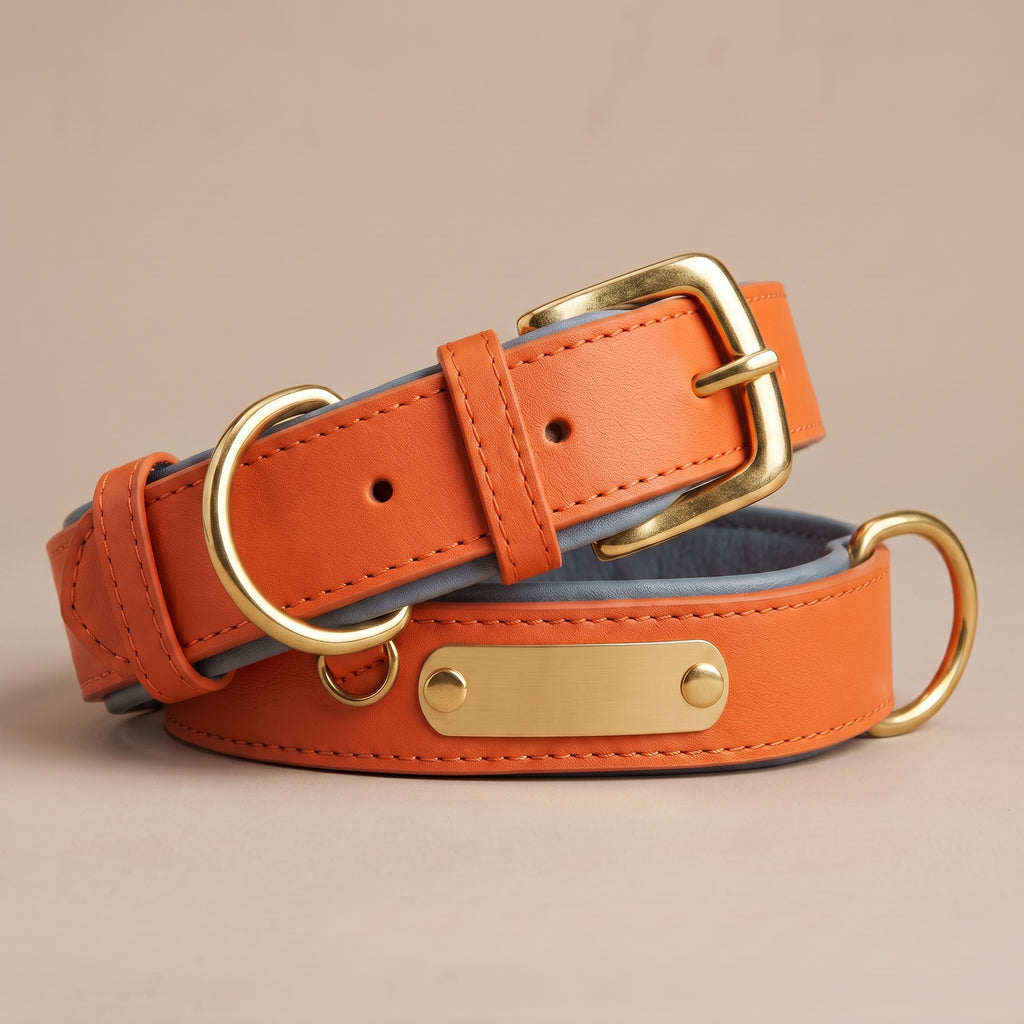 Collier Chien en Cuir Personnalisé avec Plaque Gravée – Rembourré et Confortable, Ajustable Toutes Tailles