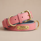 Collier Chien en Cuir Personnalisé avec Plaque Gravée – Rembourré et Confortable, Ajustable Toutes Tailles