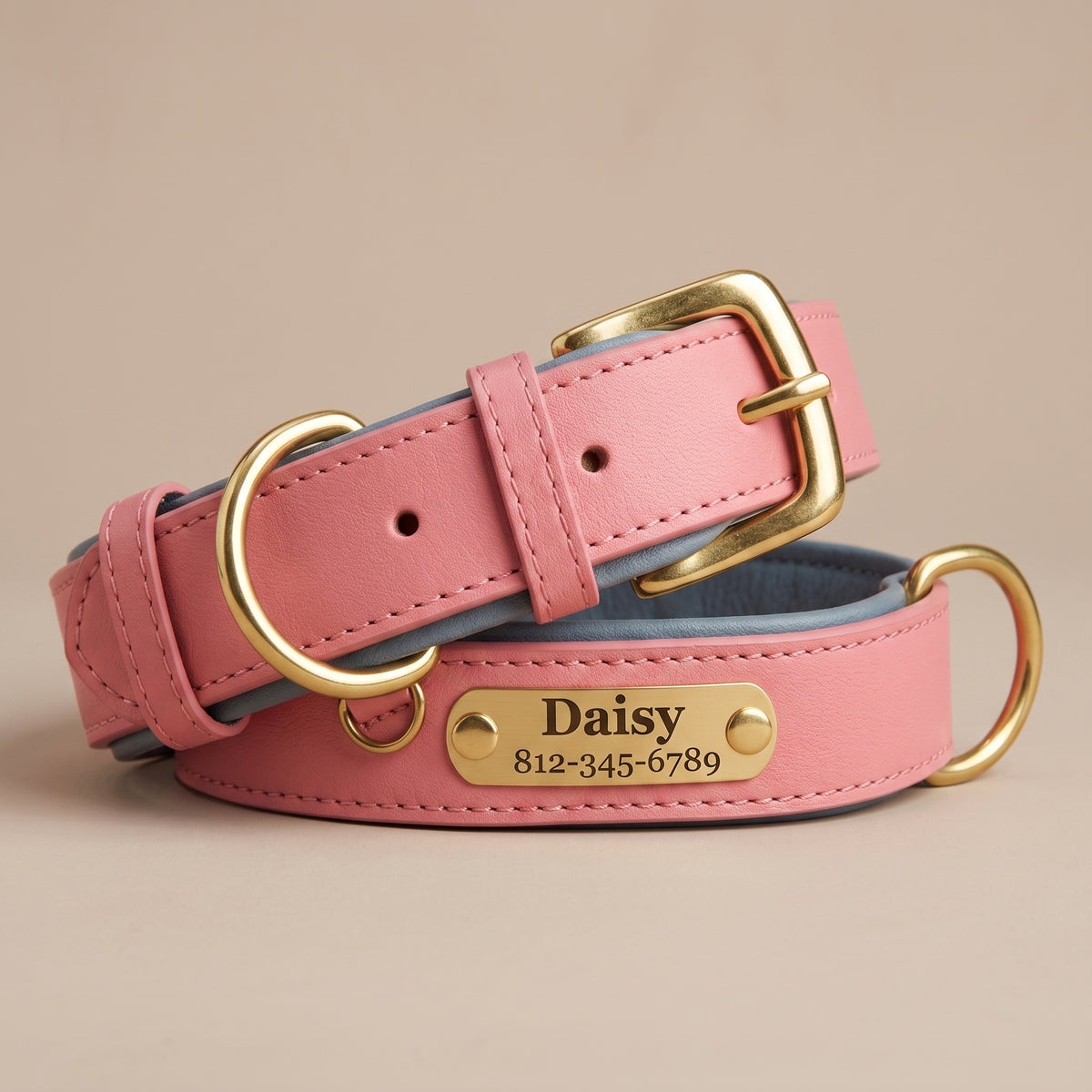 Collier Chien en Cuir Personnalisé avec Plaque Gravée – Rembourré et Confortable, Ajustable Toutes Tailles