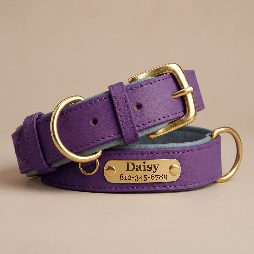 Collier Chien en Cuir Personnalisé avec Plaque Gravée – Rembourré et Confortable, Ajustable Toutes Tailles