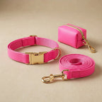 Ensemble Collier Laisse et Sacs à Crottes Personnalisé pour Chien – Cuir PU Coloré, Plaque Gravée