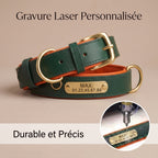 Collier Chien en Cuir Personnalisé avec Plaque Gravée – Rembourré et Confortable, Ajustable Toutes Tailles