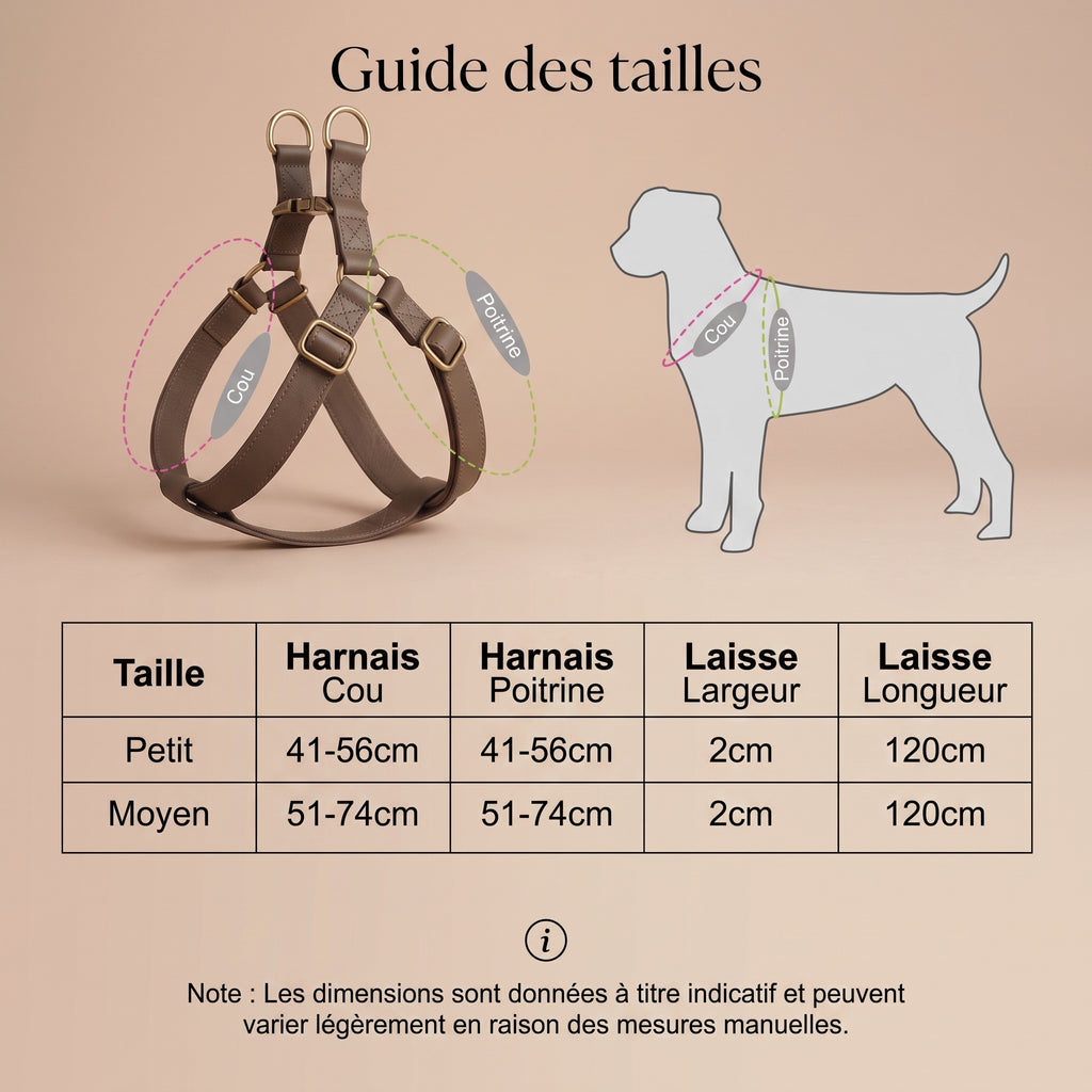 Harnais + Laisse en Cuir PU avec Gravure Offerte