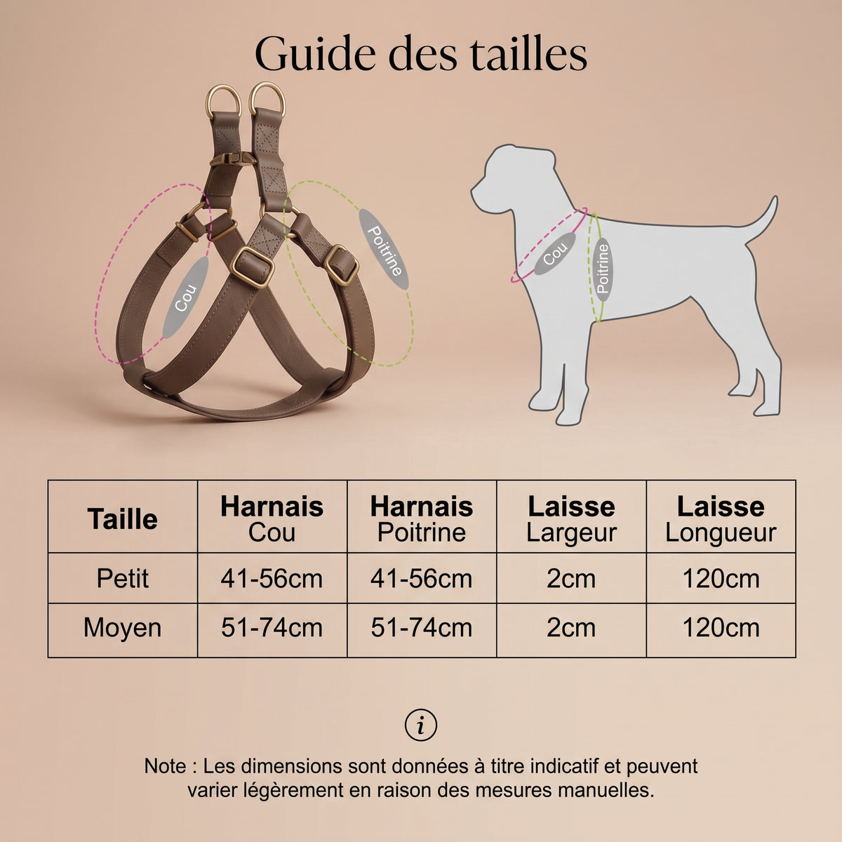 Harnais + Laisse en Cuir PU avec Gravure Offerte