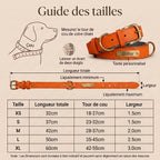 Collier Chien en Cuir Personnalisé avec Plaque Gravée – Rembourré et Confortable, Ajustable Toutes Tailles