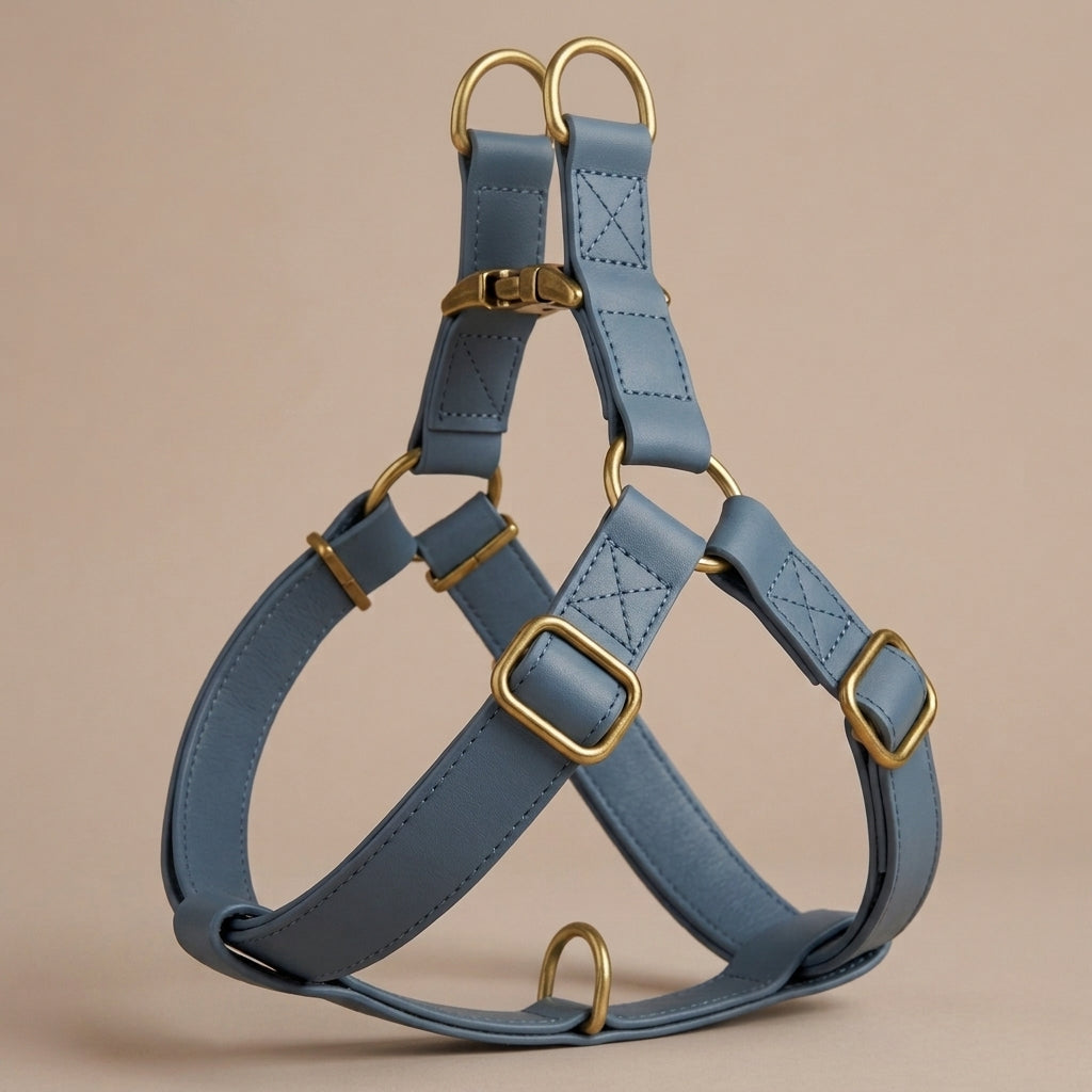 Harnais + Laisse en Cuir PU avec Gravure Offerte