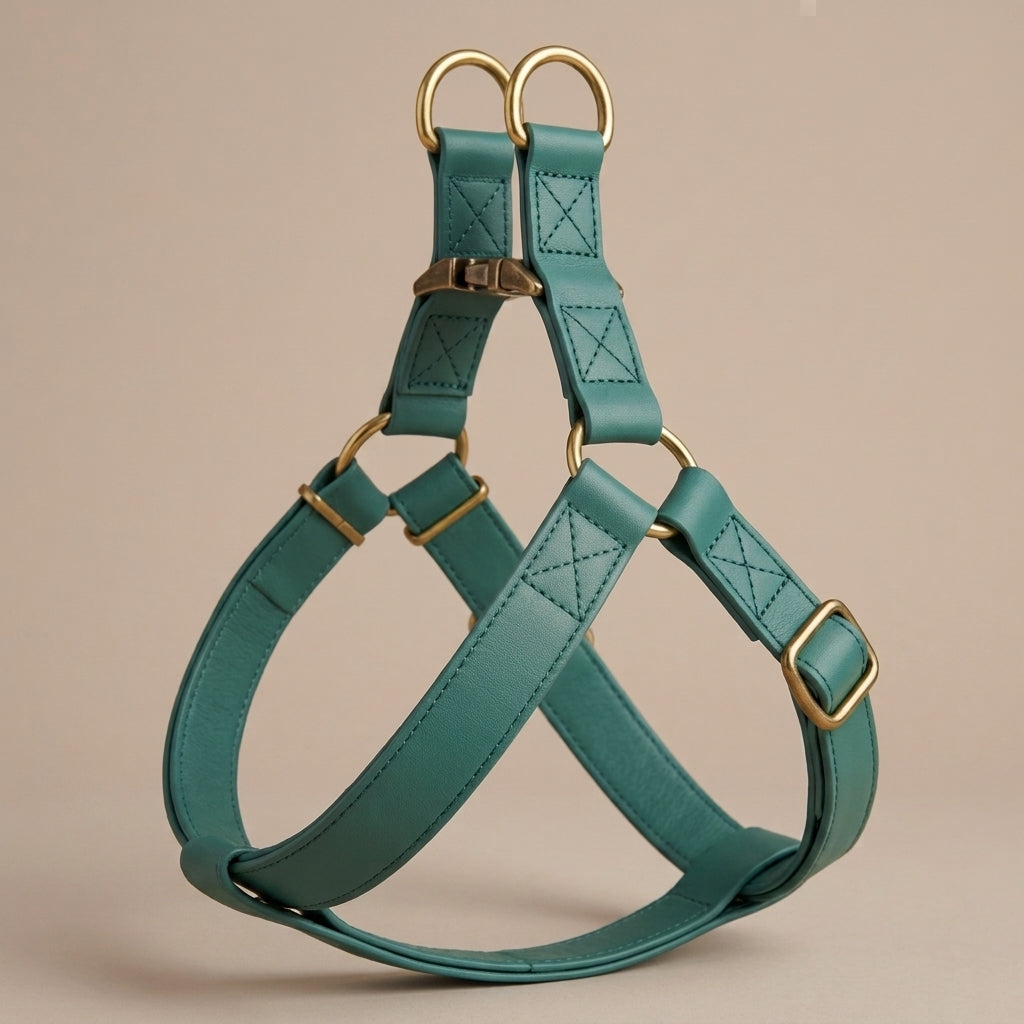 Harnais + Laisse en Cuir PU avec Gravure Offerte