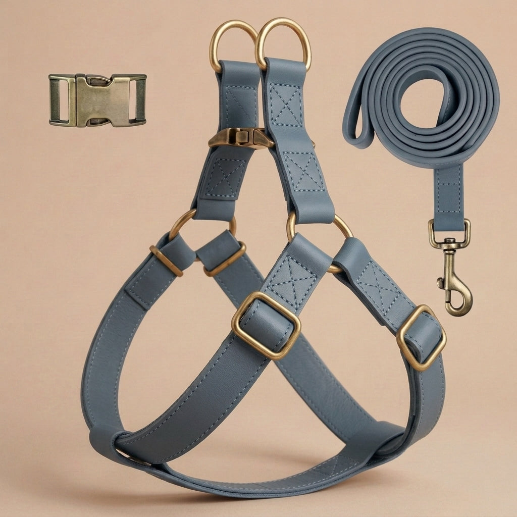 Harnais + Laisse en Cuir PU avec Gravure Offerte