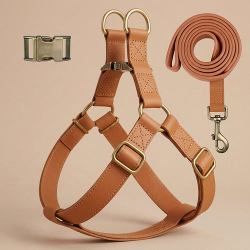 Harnais + Laisse en Cuir PU avec Gravure Offerte