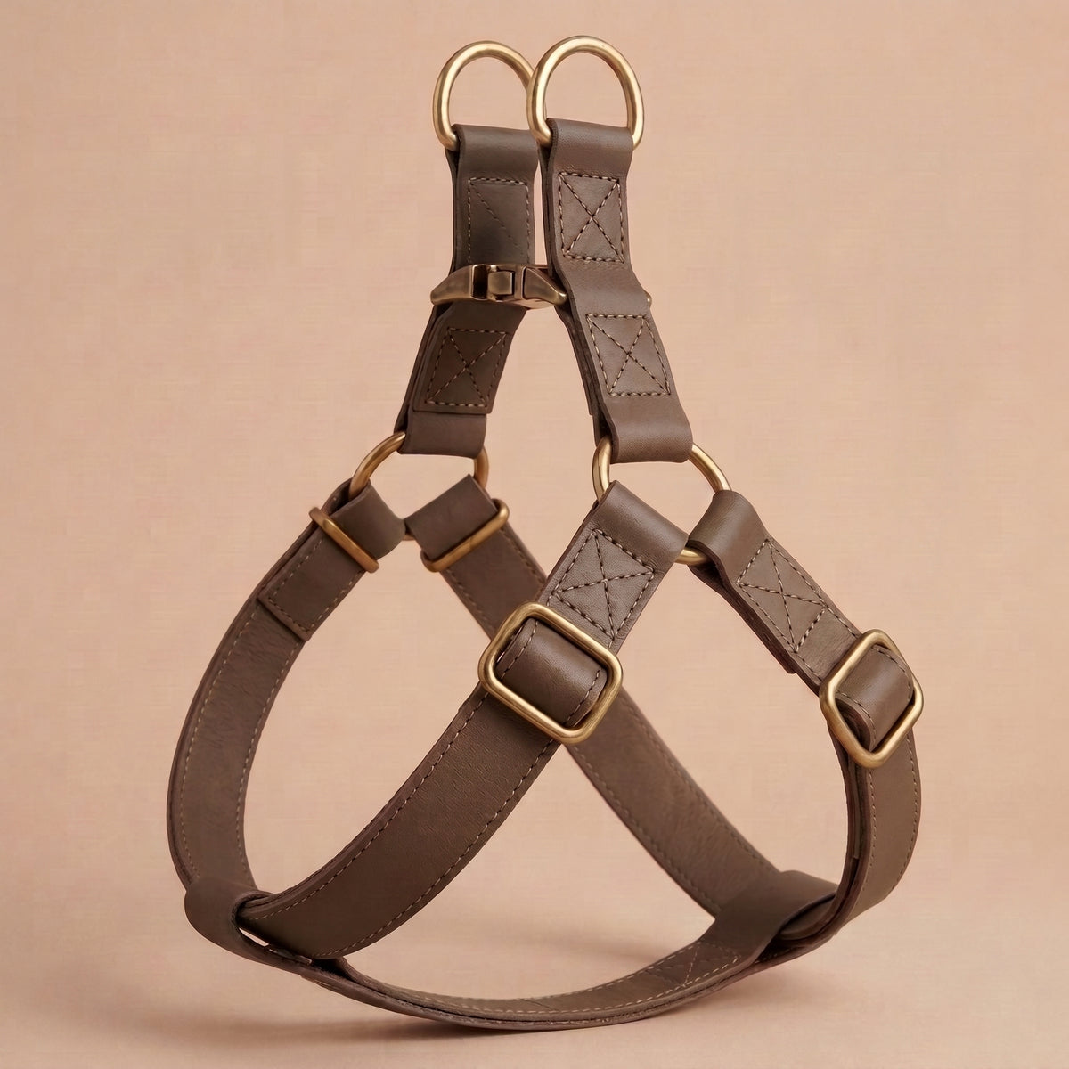 Harnais + Laisse en Cuir PU avec Gravure Offerte