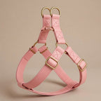 Harnais + Laisse en Cuir PU avec Gravure Offerte