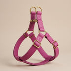 Harnais + Laisse en Cuir PU avec Gravure Offerte