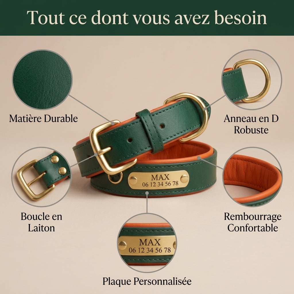 Collier Chien en Cuir Personnalisé avec Plaque Gravée – Rembourré et Confortable, Ajustable Toutes Tailles