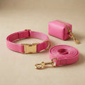 Ensemble Collier Laisse et Sacs à Crottes Personnalisé pour Chien – Cuir PU Coloré, Plaque Gravée