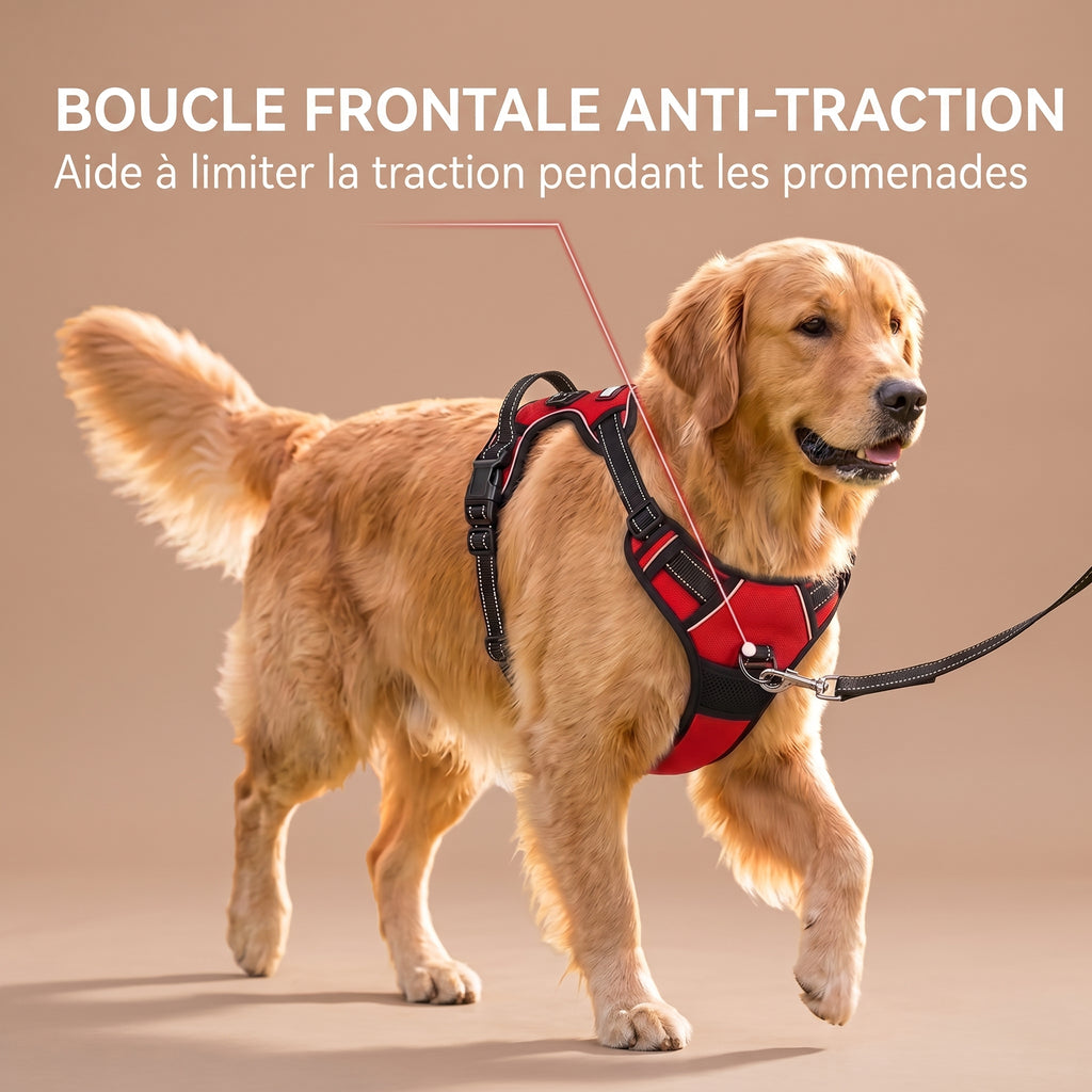 Harnais Anti-Traction pour Chien avec Clip Frontal – Poignée de Contrôle et Bandes Réfléchissantes, Grand Chien
