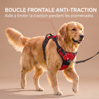 Harnais Anti-Traction pour Chien avec Clip Frontal – Poignée de Contrôle et Bandes Réfléchissantes, Grand Chien