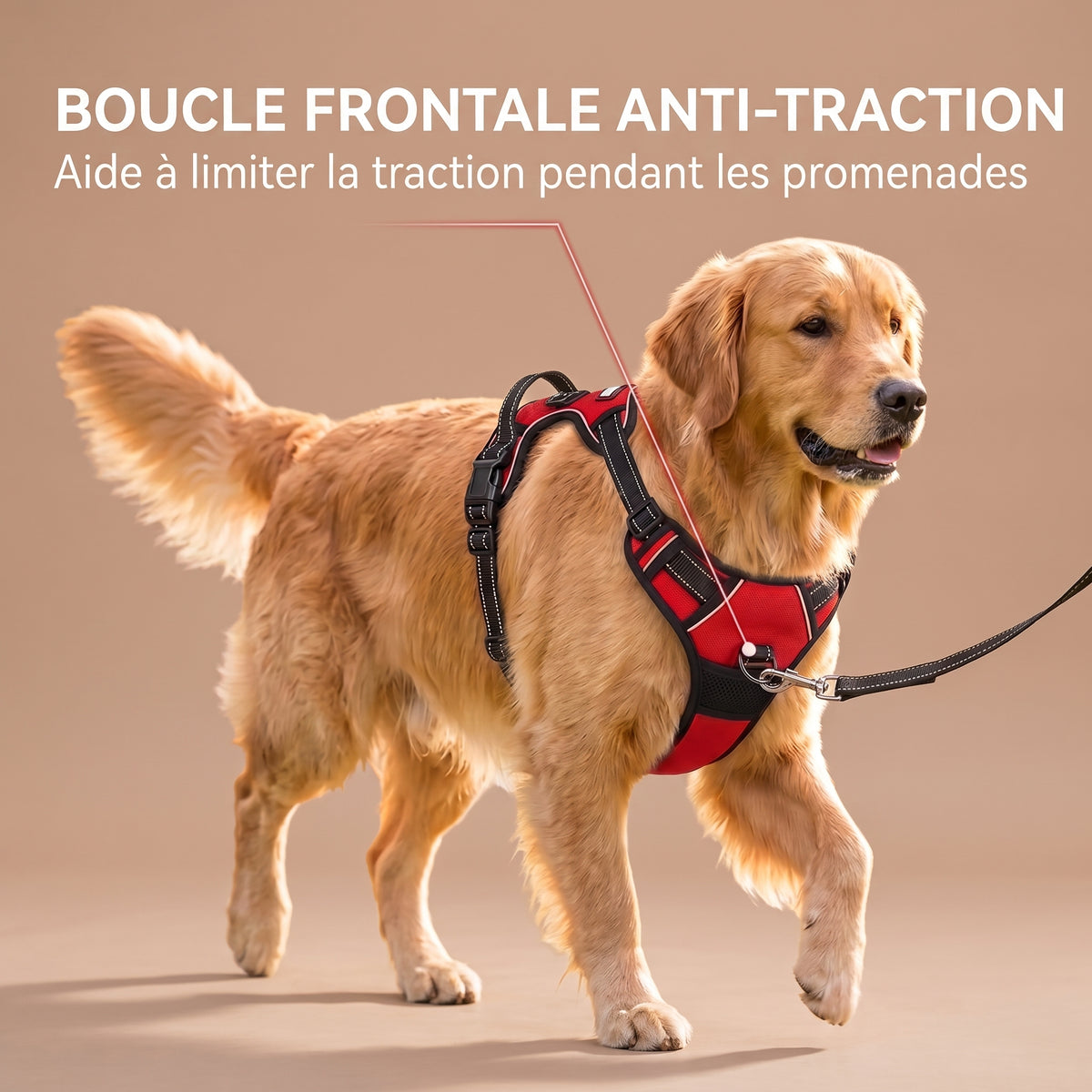 Harnais Anti-Traction pour Chien avec Clip Frontal – Poignée de Contrôle et Bandes Réfléchissantes, Grand Chien