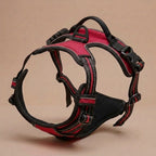 Harnais Anti-Traction pour Chien avec Clip Frontal – Poignée de Contrôle et Bandes Réfléchissantes, Grand Chien