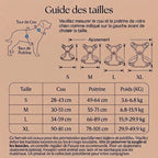Harnais Anti-Traction pour Chien avec Clip Frontal – Poignée de Contrôle et Bandes Réfléchissantes, Grand Chien